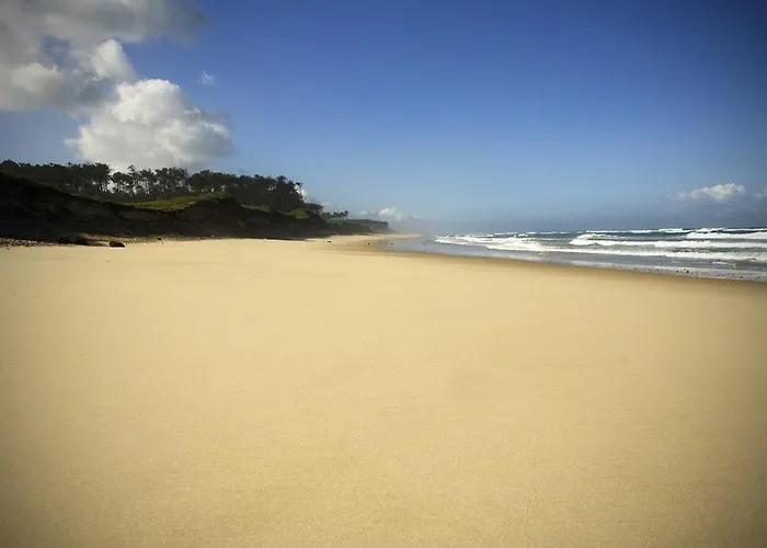 Watermark Surf House 호스텔 오바